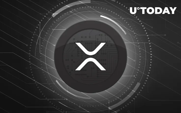 XRP Whale Moved $20 Million Coins Away from Exchange