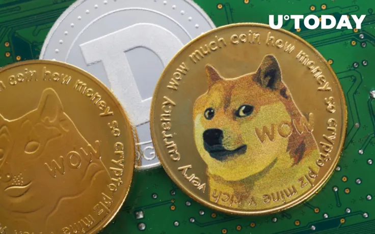 Elon Musk Warns Dogecoin Hodlers Against Leveraged Trading