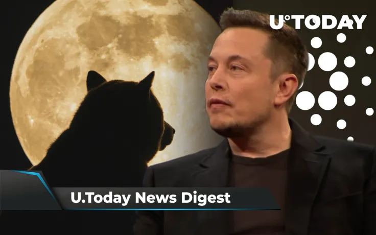 Newegg Will Accept SHIB, Cardano Down 50% from Its Peak, Musk Warns DOGE Holders Against Leveraged Trading: Crypto News Digest by U.Today