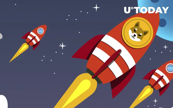 Shiba Inu Price Soars As Whale Buys 25 Billion SHIB Tokens