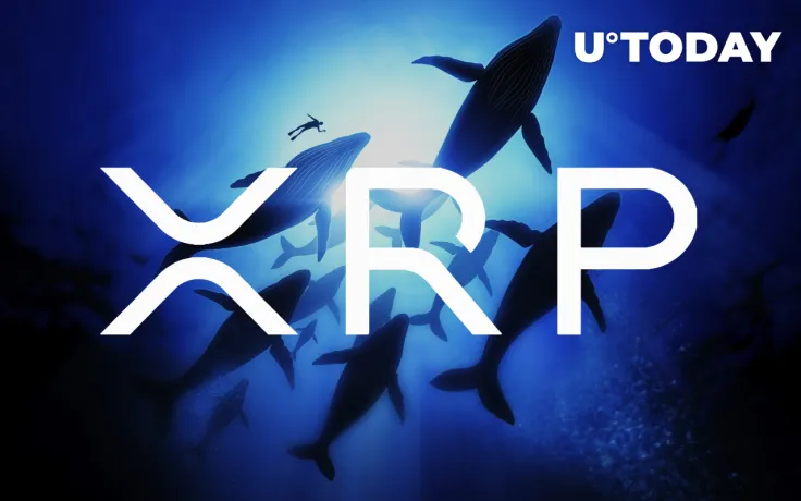 XRP Whales Are Moving $24 Million Worth of Tokens from Exchanges Amid 6% Rally