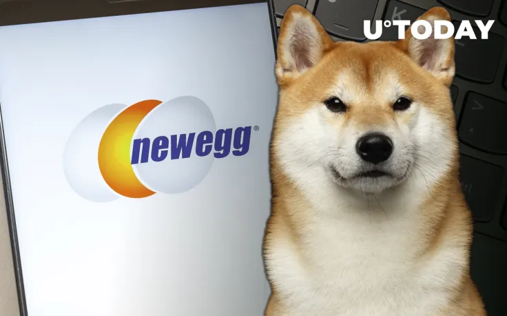 Here's When and How Newegg Is Going to Accept Shiba Inu