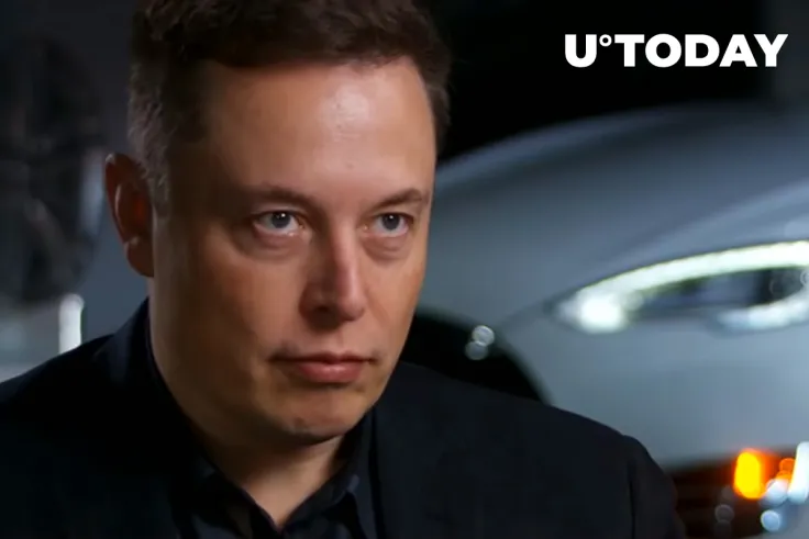 Elon Musk Loses Entire Dogecoin Market Cap in One Day