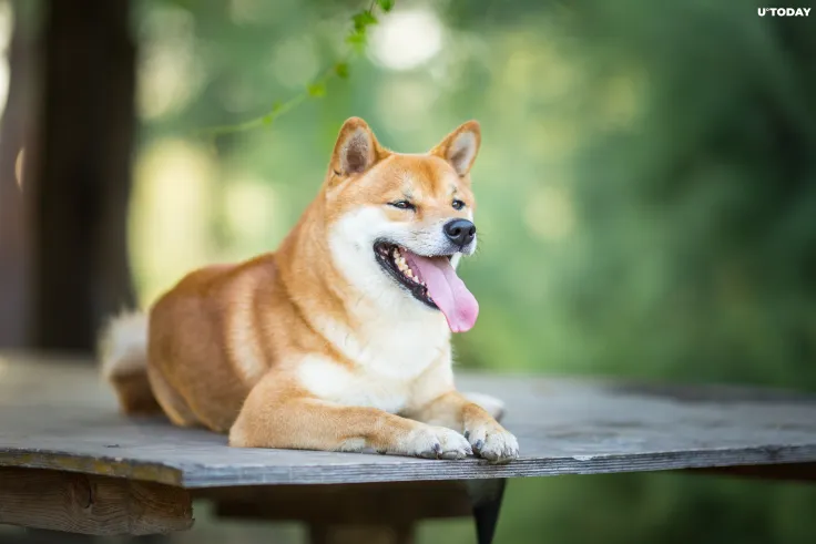 Shiba Inu (SHIB) Spikes 8%, Leading Crypto Market Recovery