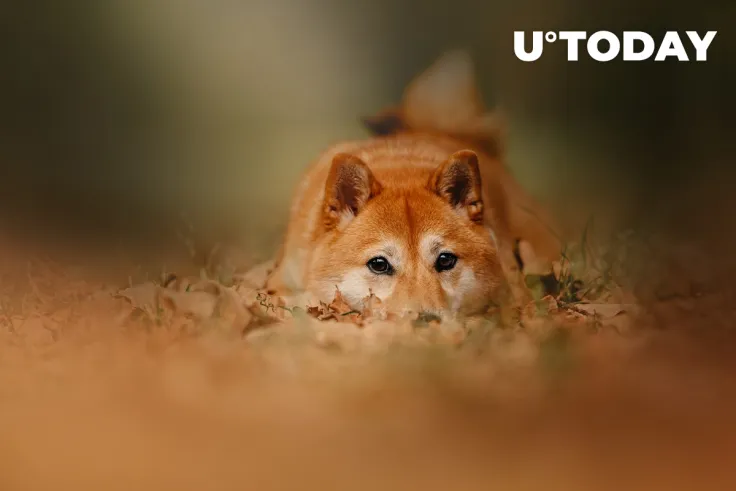 3 Reasons Why Shiba Inu Plunged Over 50% from Recent Peak 