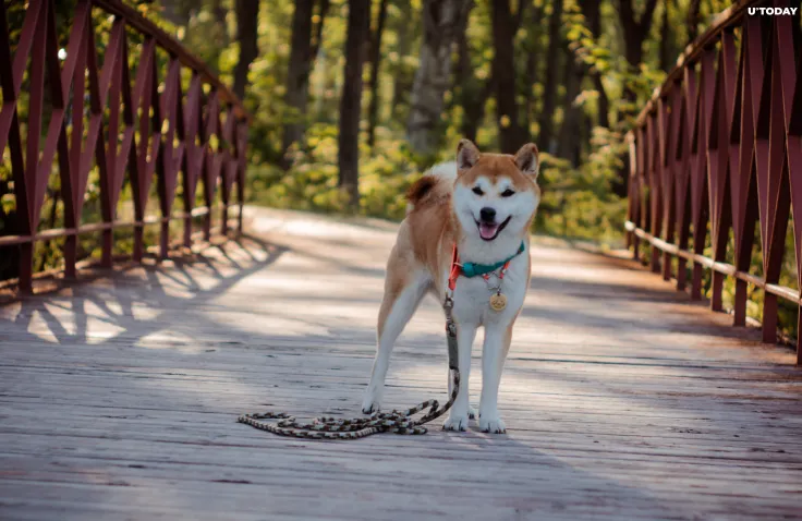 Shiba Inu (SHIB) Soars Nearly 30% on Thanksgiving Day 