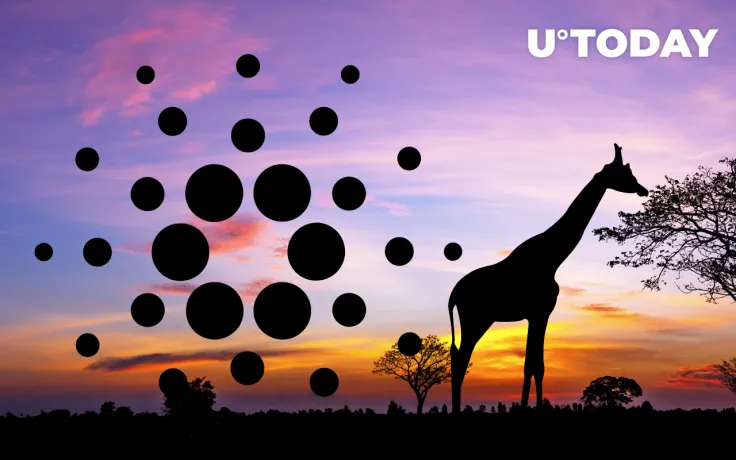 Cardano-based 3air to Bring Telecom to African Countries: Details