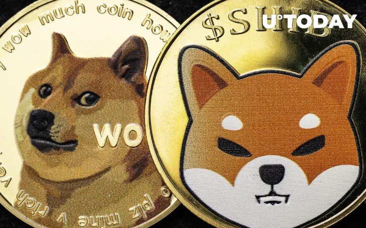 Shiba Inu and Dogecoin Have No Value, Says Real “Wolf of Wall Street”