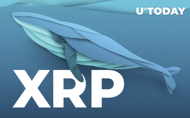 XRP Whale Withdraws 150 Million Coins from Binance