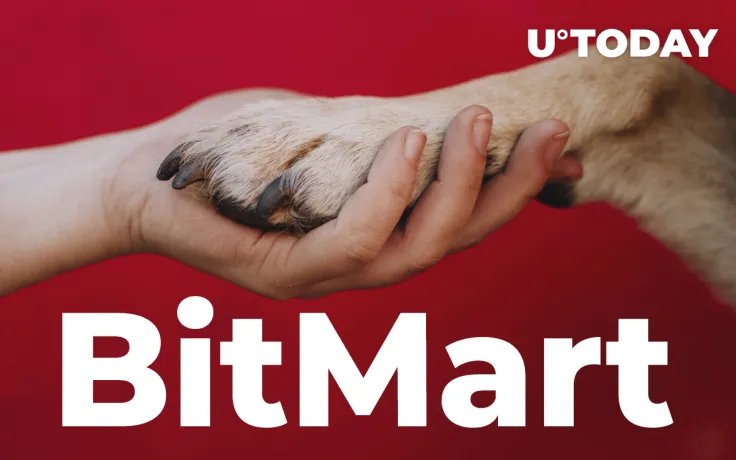 Shiba Inu Community to Give BitMart Helping Hand After Hack