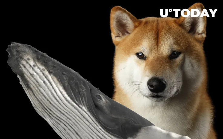 SHIB Whales Dumped $400 Million on Market in Last 24 Hours