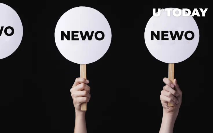 New Order Project Shares Details of NEWO Public Sale
