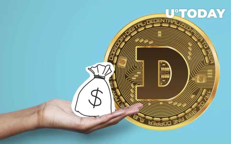 Large Investor Increases Dogecoin Holdings by 6.3 Million Coins