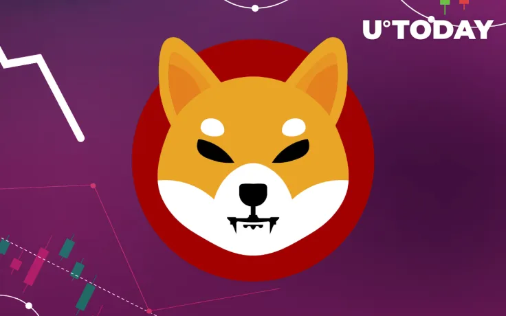 Shiba Inu Whale Wallet Dominance Drops Below 8% Amid Volatility Absence on Trading Pair