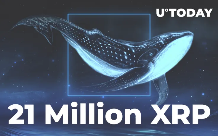 Whale Moves 21 Million XRP to Binance as Price Drops to $0.7