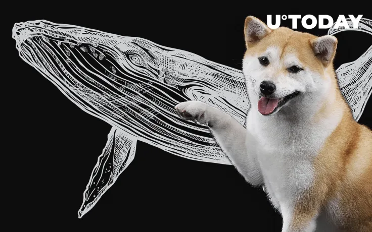 SHIB Whale That Already Holds $1.2 Billion Worth of Tokens Buys Even More