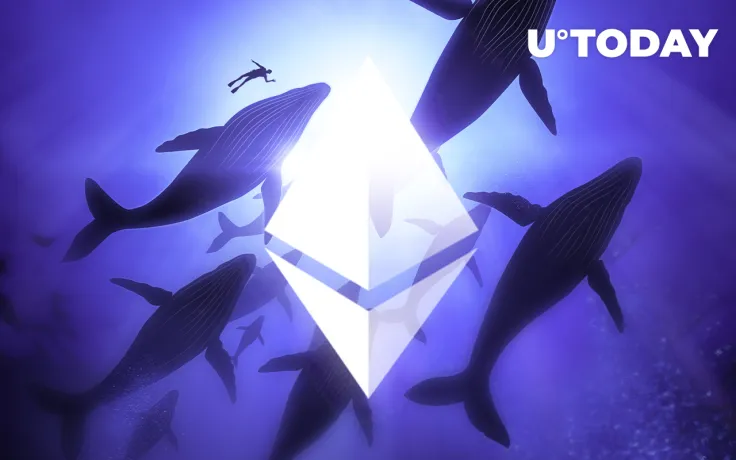 Top 10 Non-Exchange ETH Whales Hold Way More ETH Than Top Exchange Wallets