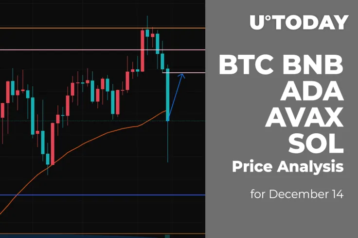 BTC, BNB, ADA, AVAX and SOL Price Analysis for December 14