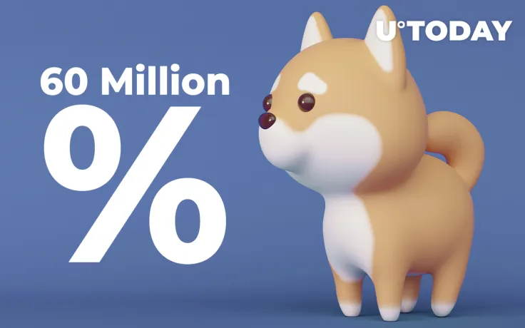 Shiba Inu Still Up 60 Million Percent Since All-Time Low Despite Reaching New Network Activity Low