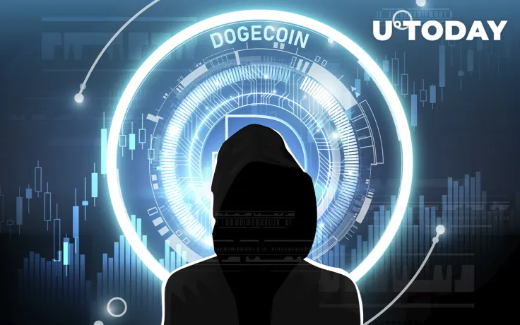 $850 Million Worth of Doge Transferred Anonymously Before Elon Musk's Announcement