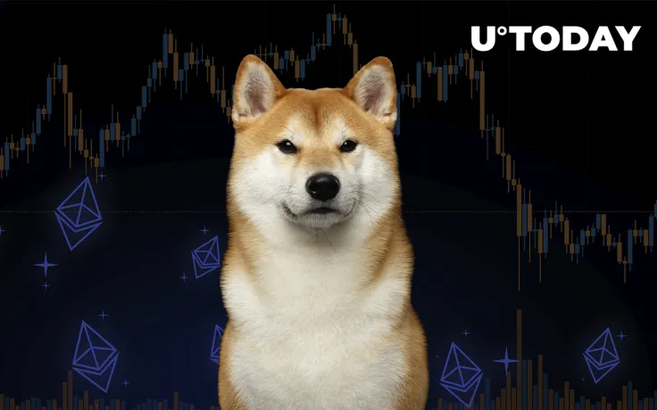 Shiba Inu Becomes 3rd Largest Holding Among Ethereum Whales