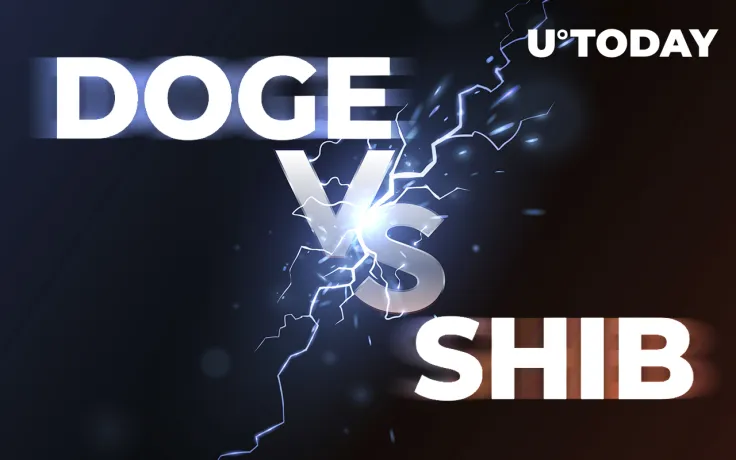 Dogecoin and Shiba Inu in Duel for 12th Largest Cryptocurrency, Who Wins?