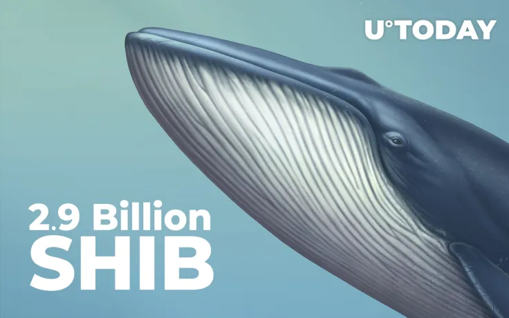 SHIB Whale Adds 2.9 Billion SHIB to Their 31.3 Billion Holdings