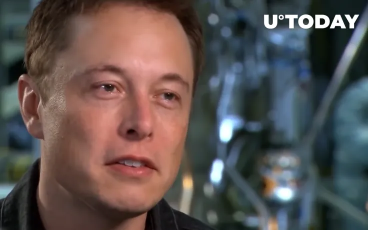 Elon Musk and DOGE Cofounder Mock Crypto Devs That Pretend to Work on Their Hyped Coins