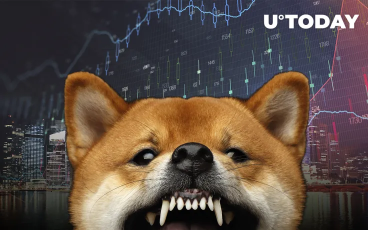 Large Shiba Inu Investors Continue to Accumulate Despite Price Correction