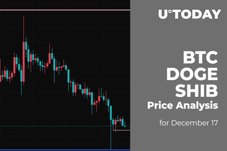 BTC, DOGE and SHIB Price Analysis for December 17