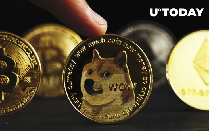 Dispose of Dogecoin and Meme Stocks: North Island Chairman's Outlook for 2022