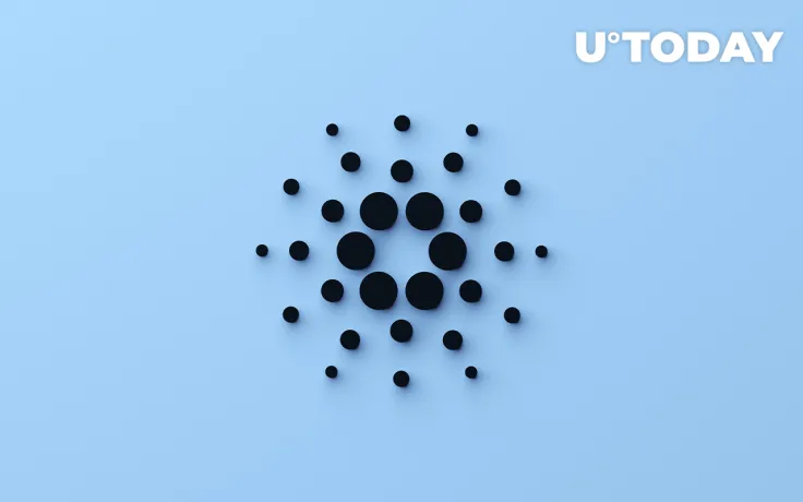 Cardano Sees Slight Increase in Whale Transactions, Is This a Swoop on the Dip?