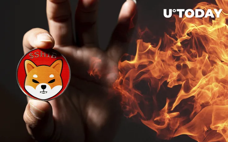 SHIB Burn Rate to Double Next 60 Days: Details