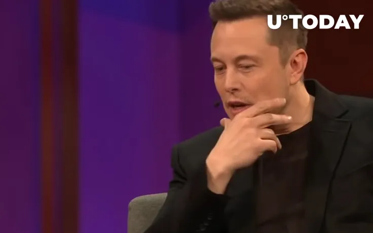 Elon Musk Believes Crypto-Hating Sen Warren Should Leave Senate for Good: Details