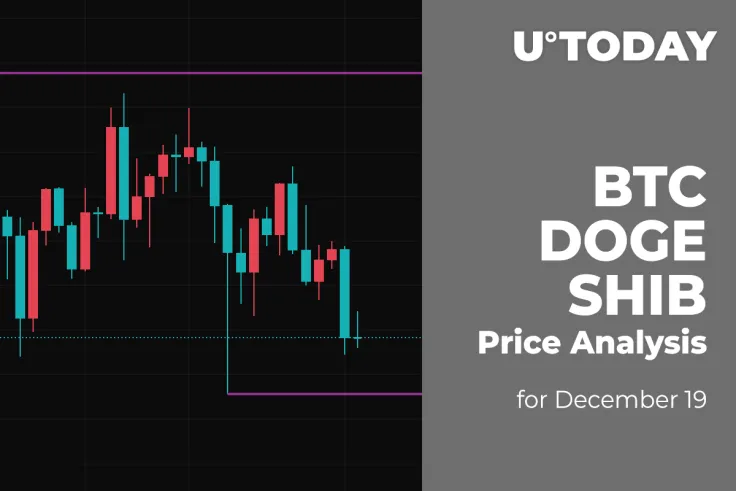 BTC, DOGE and SHIB Price Analysis for December 19