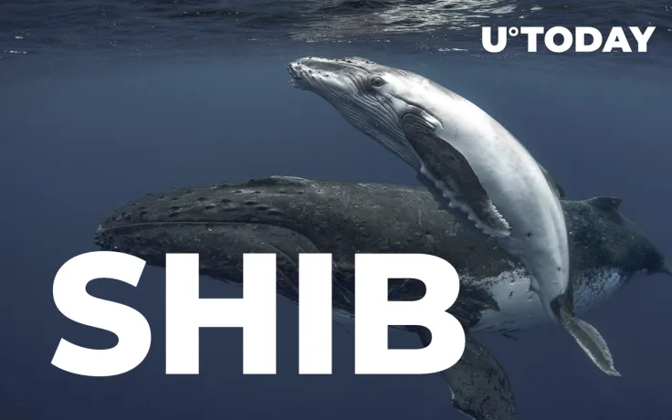 Shiba Inu Whales Lose More Than $150 Million in 24 Hours: Potential Reasons