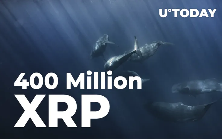 400 Million XRP Sent by Ripple, Anon Whales and ODL Platforms