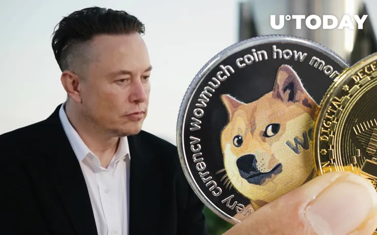 Elon Musk and Dogecoin Creator Continuously Attacking Web3, Posting Controversial GIFs