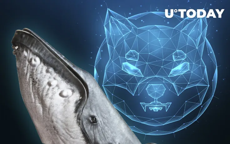 34 Billion SHIB Acquired by 13th Biggest Whale "Tsunade," Adding up to 163.2 Billion SHIB