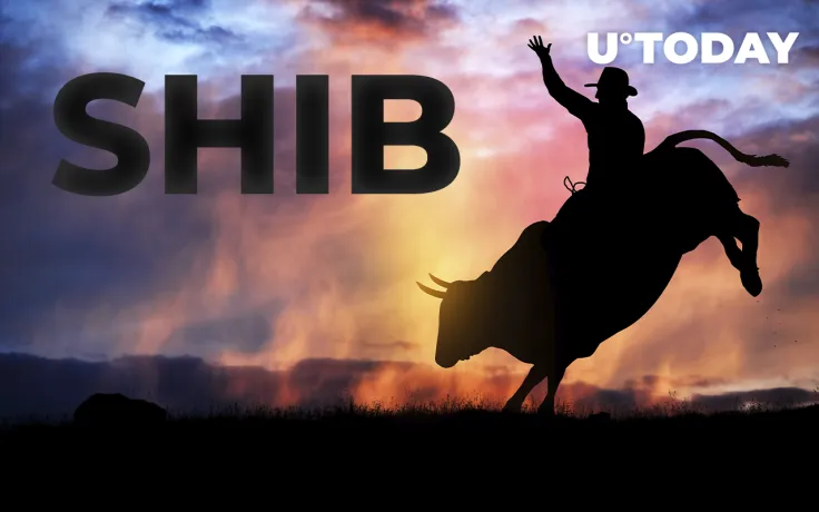 Shiba Inu's Network Growth Flips Bullish; Here's What It Means