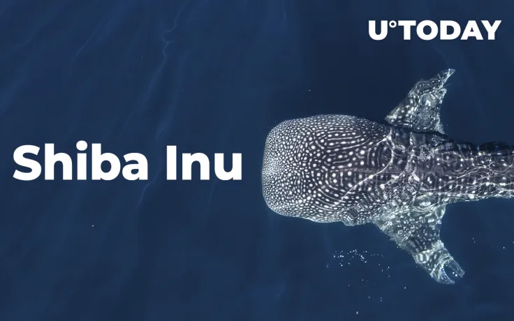 Shiba Inu Whales Bought More Than $200 Million Worth of Tokens Amid Asset's 22% Run