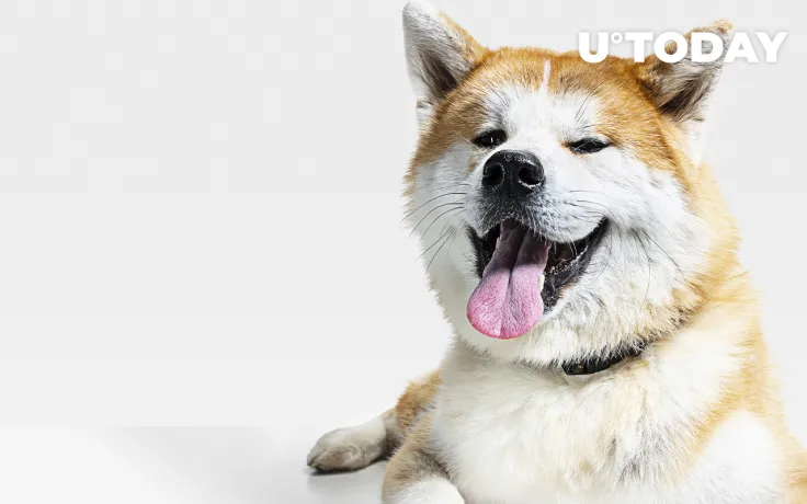 Dogecoin Cofounder Slams Doge Holders Who Try to Ruin Community from Within