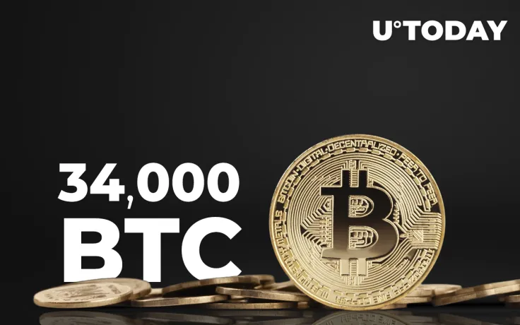 More Than 34,000 BTC Transferred from Whale Addresses in 24 Hours