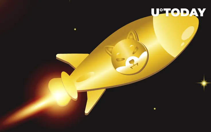 Shiba Inu Net Flow Increases by More Than 500%, Here's What It Means