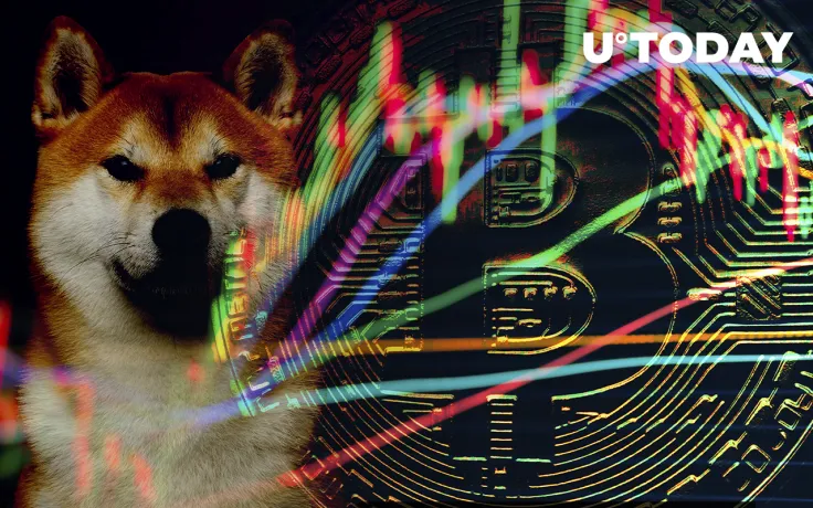 Bitcoin, Shiba Inu, Algorand Up as Cryptomarket Rises on Positive Investor Sentiment
