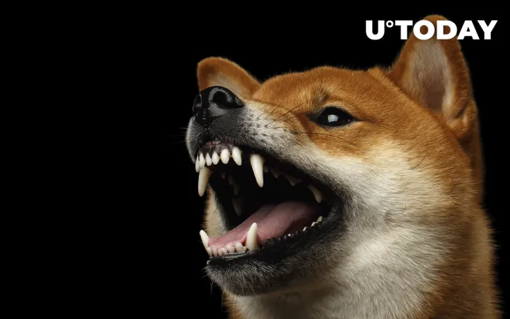 Shiba Inu Comes Closer to 50-Day Trend Resistance as Whale Holdings Reach $2 Billion