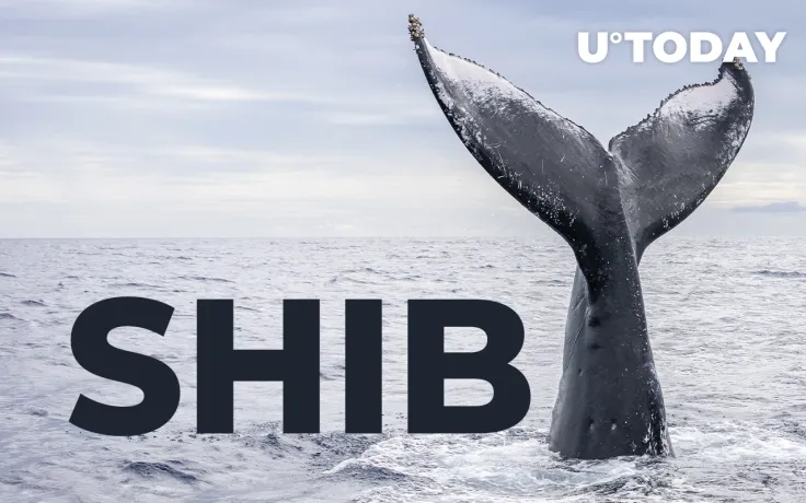 Shiba Inu Whales Hold 26% of Supply as Net Flow Rises by 176%