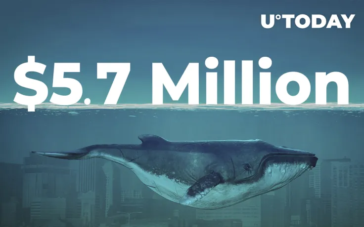 Shiba Inu Whale Holding 1 Trillion Tokens Acquires $3.9 Million SAND