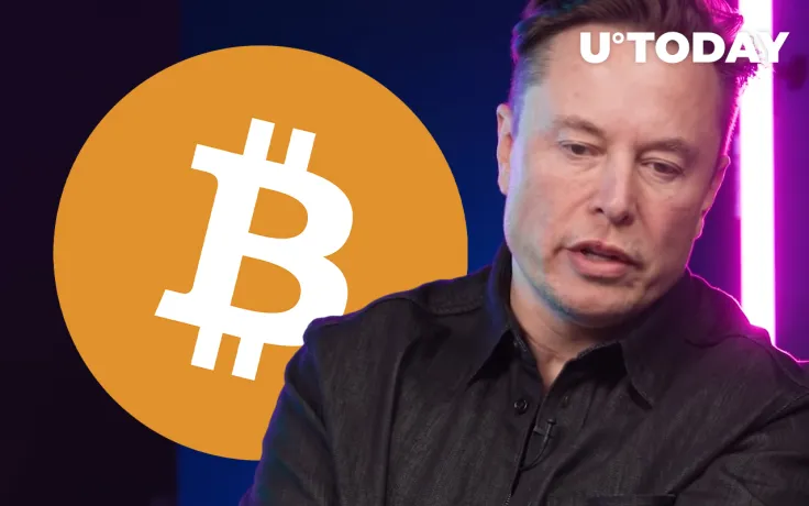 Former SpaceX Intern Continues to Insist That Elon Musk Created Bitcoin