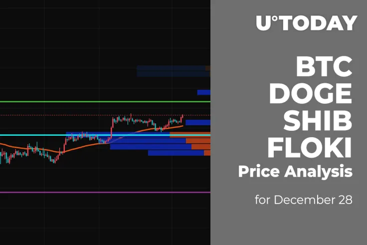 BTC, DOGE, SHIB and FLOKI Price Analysis for December 28